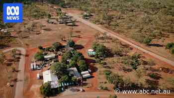 Controversial water licence approved for cotton and hay around Larrimah