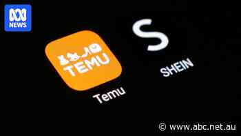 Shein and Temu are adapting to Trump's tariffs, but it's not good news for the environment