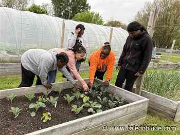 &#39;Seed to table&#39;: Toledo Preparatory students kick off urban agriculture program