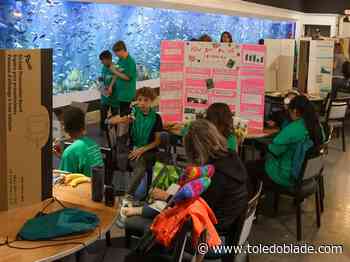 Elementary students show off their scientific research at symposium