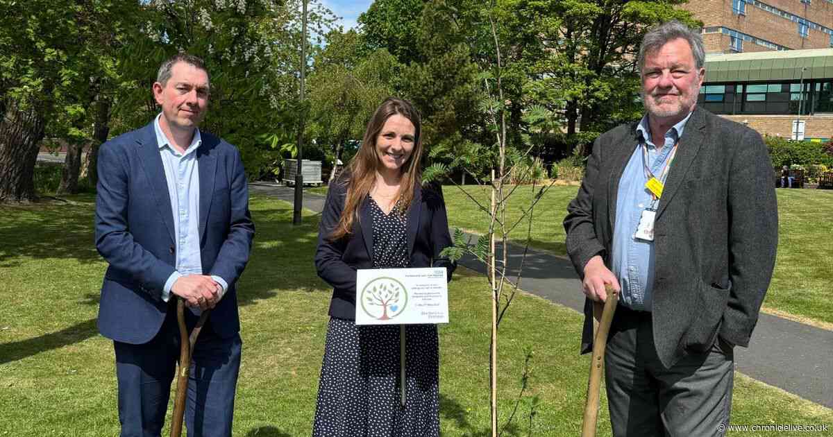 Memorial tree planted on Newcastle hospital grounds in memory of NHS staff lost to suicide