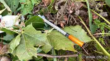 City crew picks up hundreds of needles, at least 2 knives in Winnipeg parks since program launch