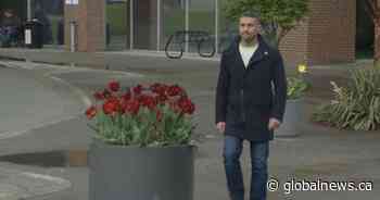 Charges against Maple Ridge councillor date back as far as 2015