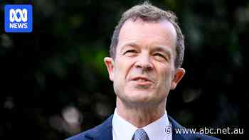 NSW opposition leader in state of 'shock' over abortion debate tactics