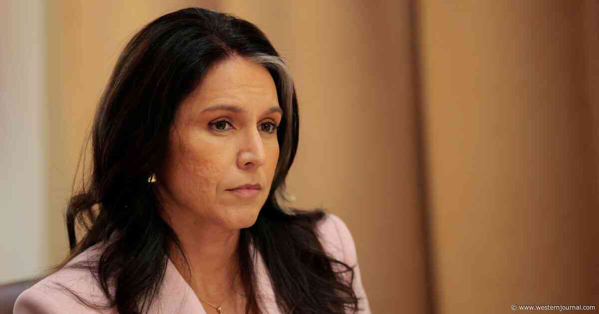 She Found Them: Gabbard Reportedly Fires Officials, 'Deep State' On Notice