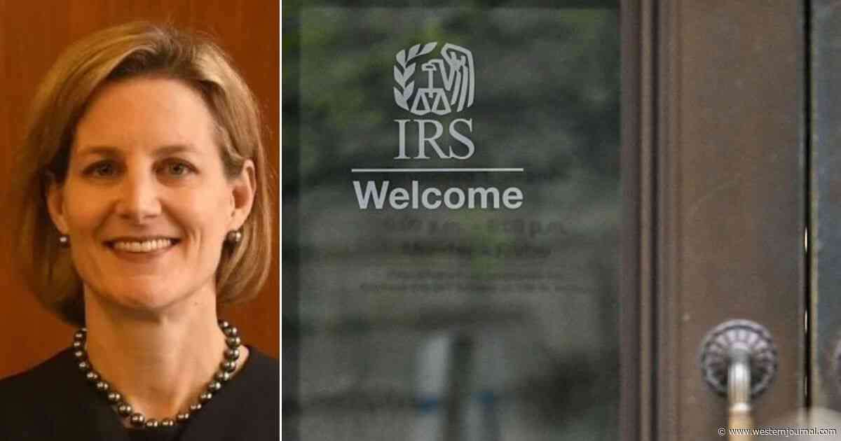Judge's Pro-Trump Ruling Super-Charges ICE's Deportation Efforts, Slap in the Face of Libs, Pro-Illegal Orgs