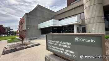 OPP officer at scene of shooting tells court officer's gun 'went off'