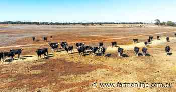 Beston collapse triggers sale of five grazing blocks near Tailem Bend