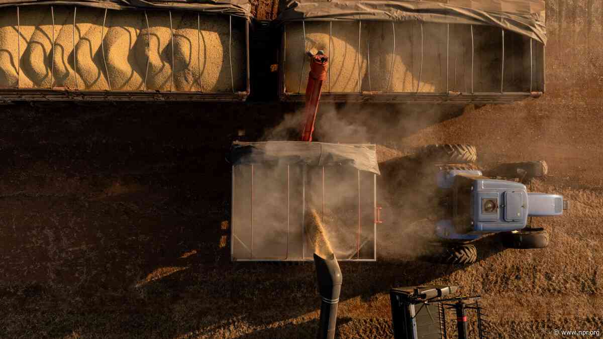 The 'Oscar' of food prizes goes to a Brazilian who harnessed the power of bacteria