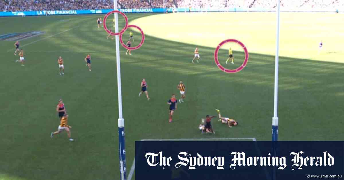 McGuire's bold plan to improve umpiring