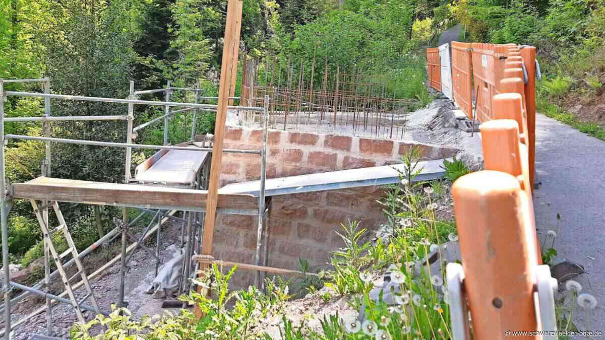 Stadtgarten in Calw: Darum scheint der Bau der riesigen Rutschen stillzustehen