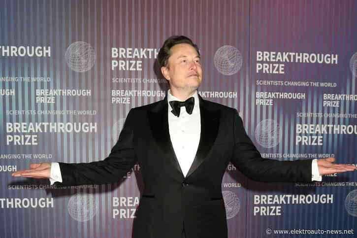 Käufer wenden sich ab: Tesla ächzt unter Elon Musk