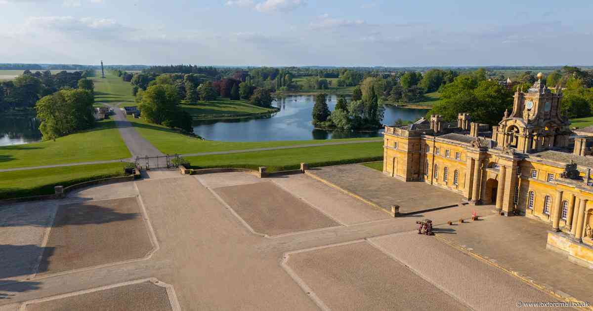 Visitors to Blenheim Palace will be able to climb to the rooftop