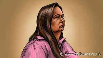 Erin Patterson mushroom murder trial LIVE updates: Key evidence linking Erin Patterson to dehydrator dumped at tip is revealed to murder trial jury