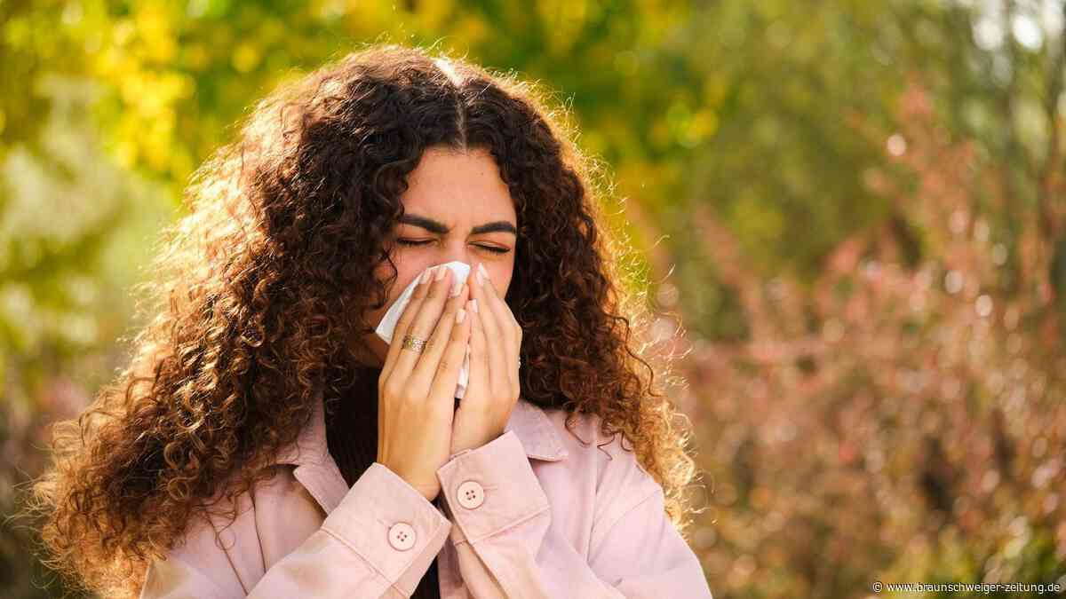 Gefahr bei Allergie: Diese Blumen sollten Sie nie im Haus haben