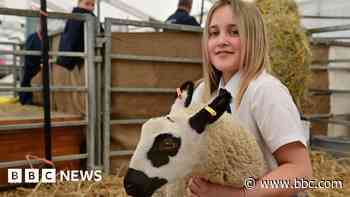 All you need to know about the 2025 Balmoral Show