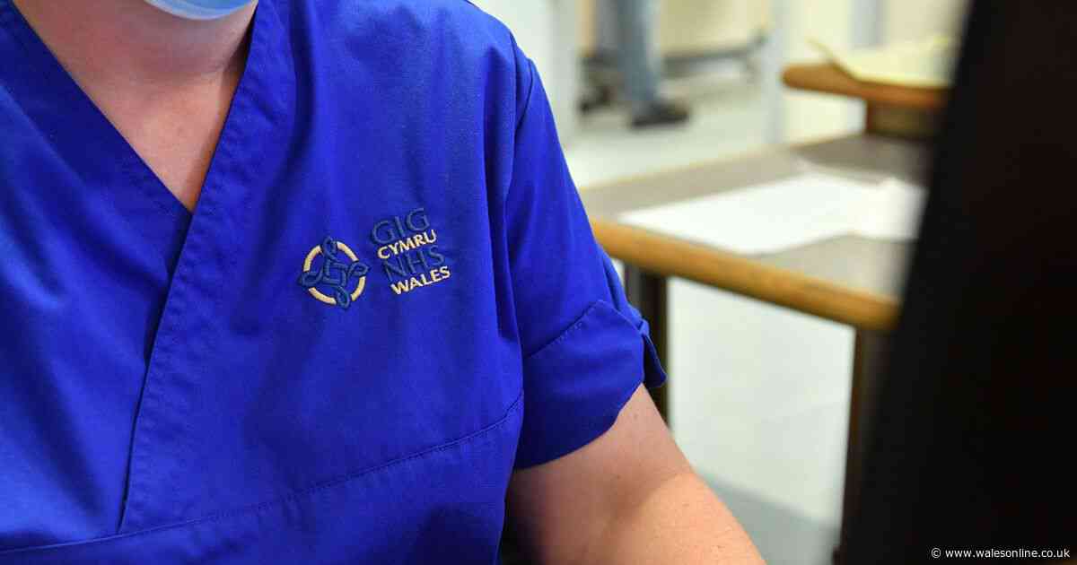 Warning 'exodus' of migrant nurses could be devastating for Wales