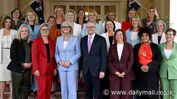 Who is getting massive pay rises on Albo's new team - and the unlucky few copping a $170k pay CUT