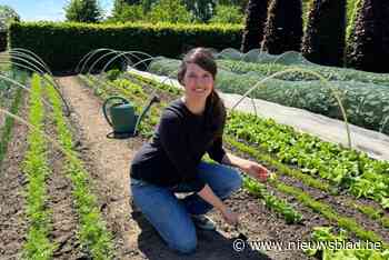 Feestelijke boerenmarkten met een nieuw concept: “Ook inwoners kunnen overschotten uit hun moestuin aanbieden”