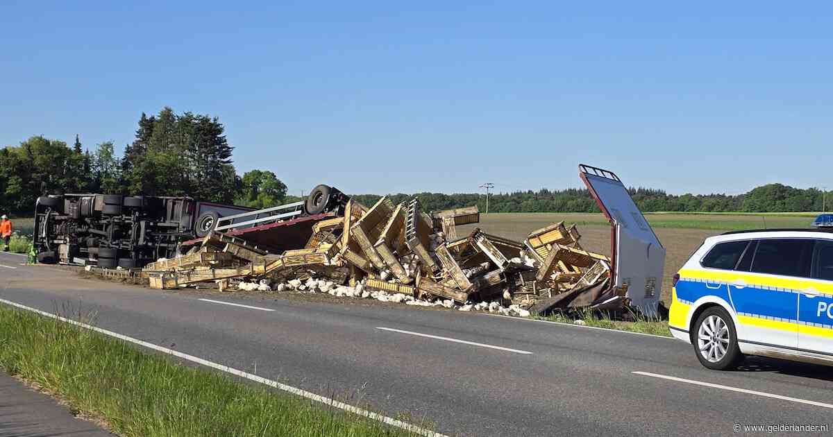 Enorme chaos en duizenden dode kippen bij ongeval met Nederlandse chauffeur in Duitsland
