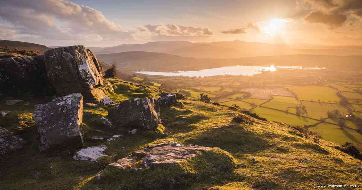 AD FEATURE: Discover how AI is helping to nurture Wales' national parks