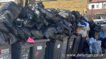 Bin crisis spreads to London! Rubbish uncollected for seven weeks with food waste, sanitary towels and nappies on borough's streets as council admits 'teething issues' with new £21.5million refuse contract