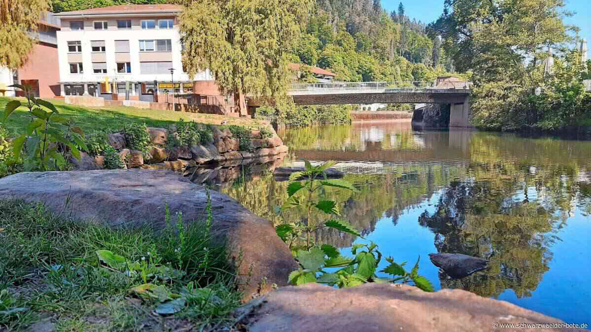 Wasserknappheit im Kreis Calw: Pegelstände von Nagold und Co. kritisch gesunken – jetzt warnt das Landratsamt