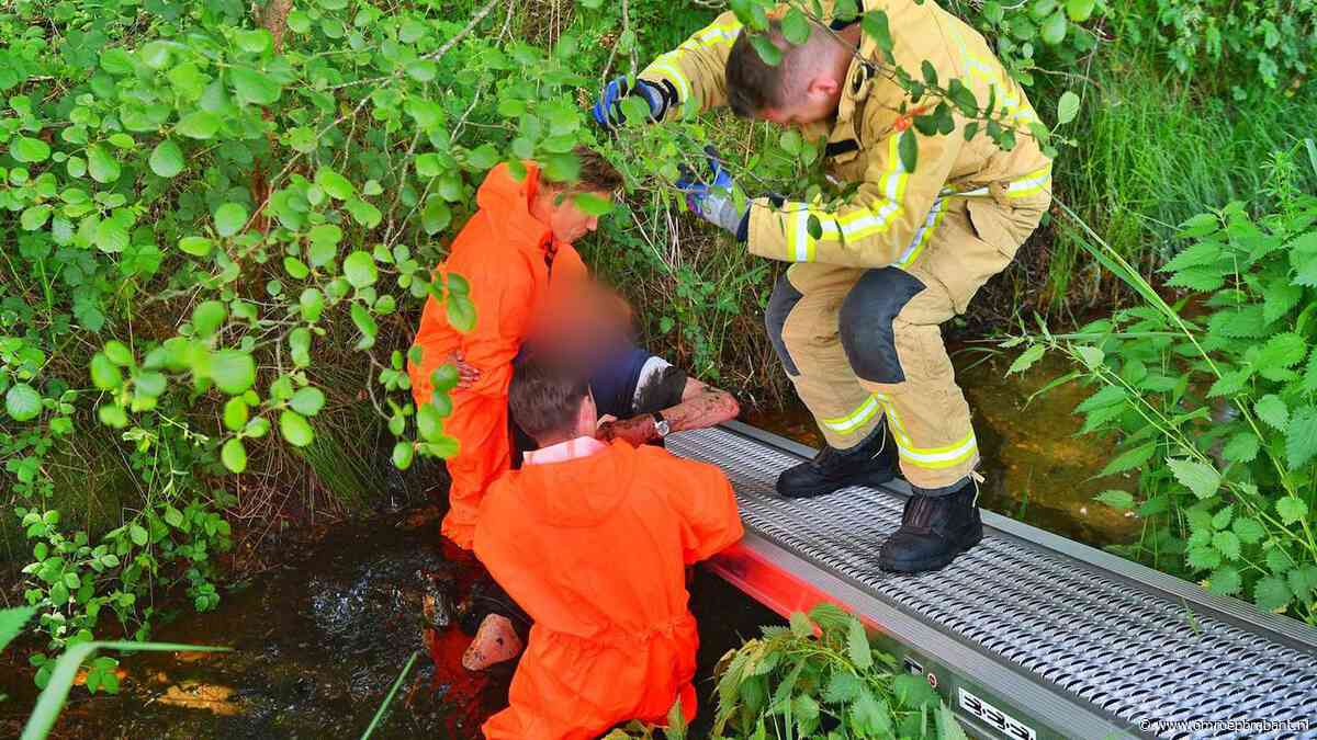 Man valt met rollator in de sloot, brandweer schiet te hulp