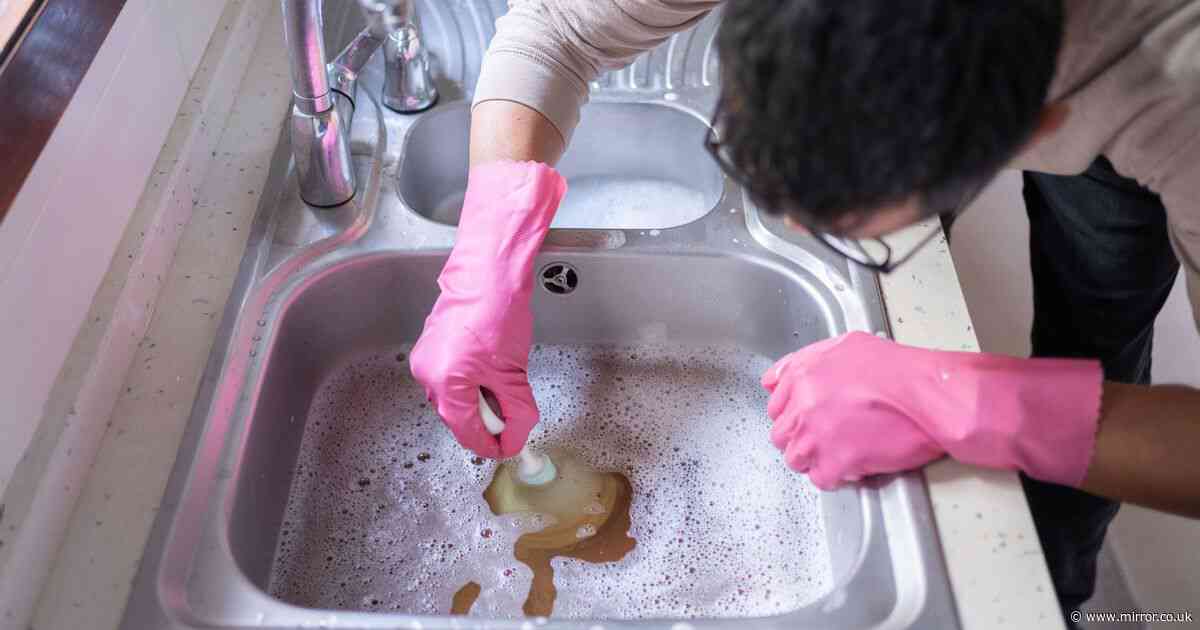 Plumber says 'better' item will unblock sink in five minutes without vinegar