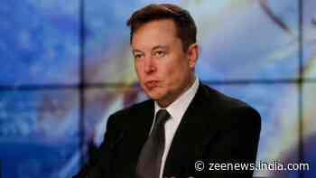 'I Was Fired From My Dream Job': Tesla Employee Claims He Lost His Job After Criticising Musk Amid Falling Sales