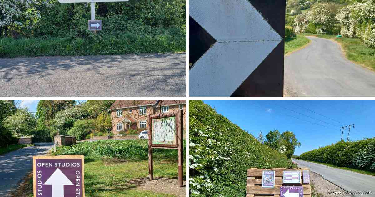 Pictures and Video: East Yorkshire artists open their doors to public