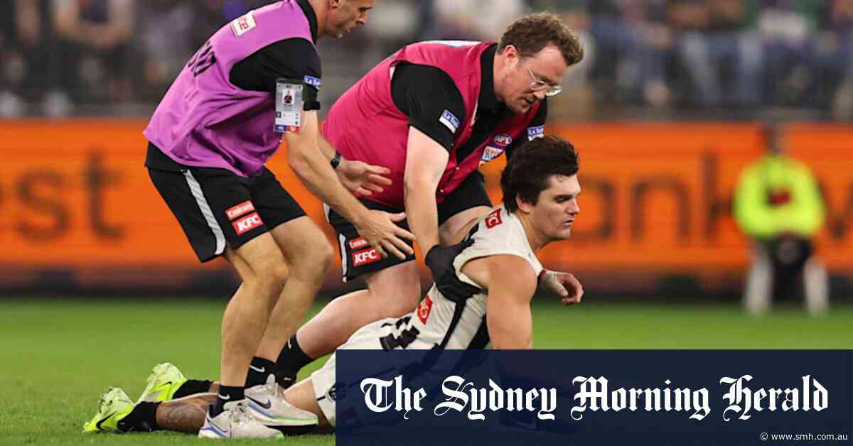 ‘We take full responsibility’: AFL moves to explain botched handling of Schultz saga, doesn’t apologise to the umpires