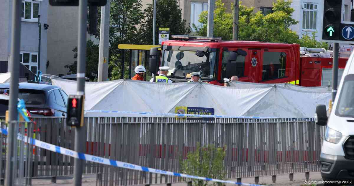 Man, 34, killed in crash on major road