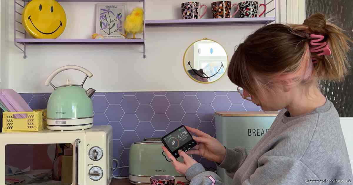 Renters reveal their top home improvements as they embrace their space