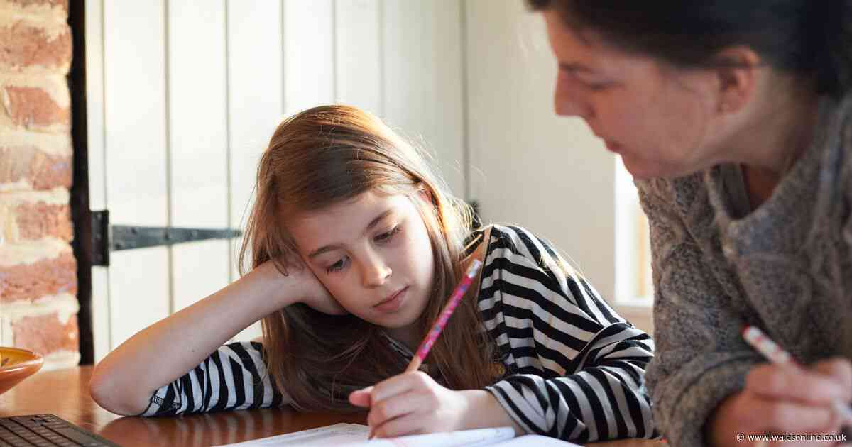 Many hundreds of parents are choosing to home-educate their children in Carmarthenshire