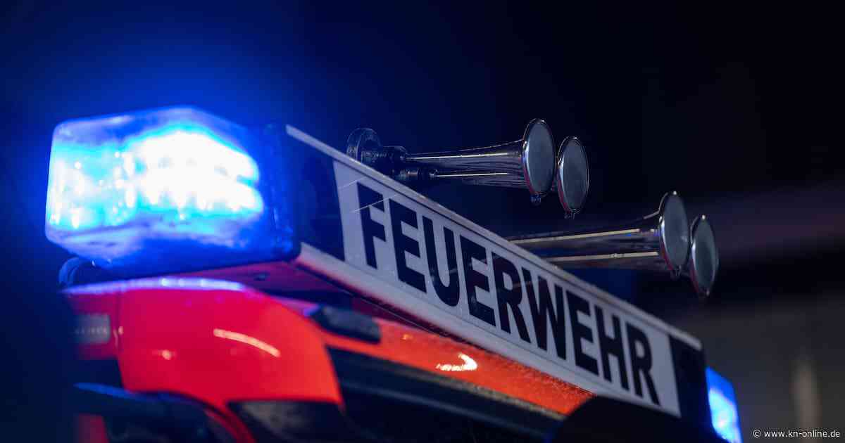 Feuer in Dätgen: Reetdachhaus komplett abgebrannt