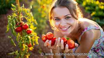Doppelte Tomaten-Ernte mit diesen einfachen Tricks – richtig beschneiden und ernten