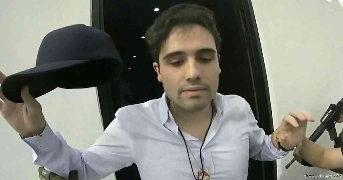 Relatives of notorious cartel leader enter U.S., Mexico confirms