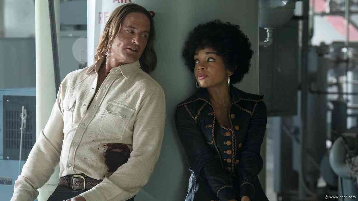 'Duster': How to Watch the Madcap Retro Action Series