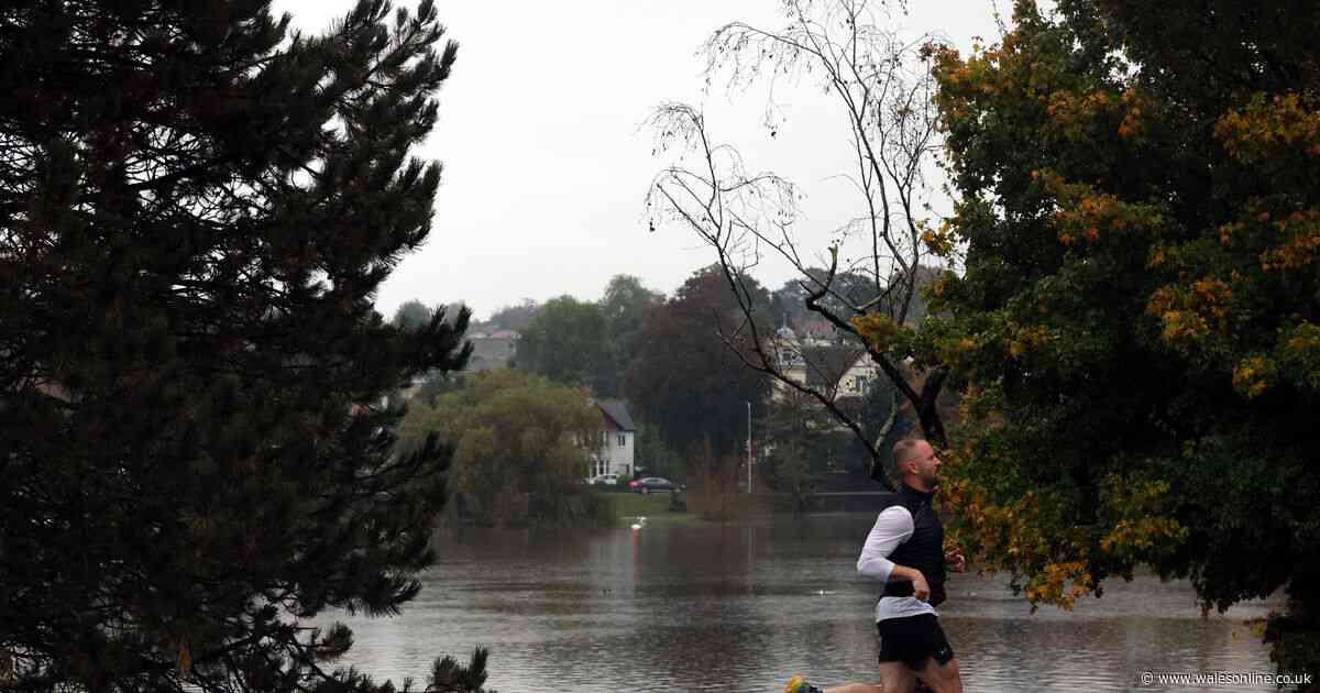 Met Office says make the most of the hot weather, because it's going to get cold and wet