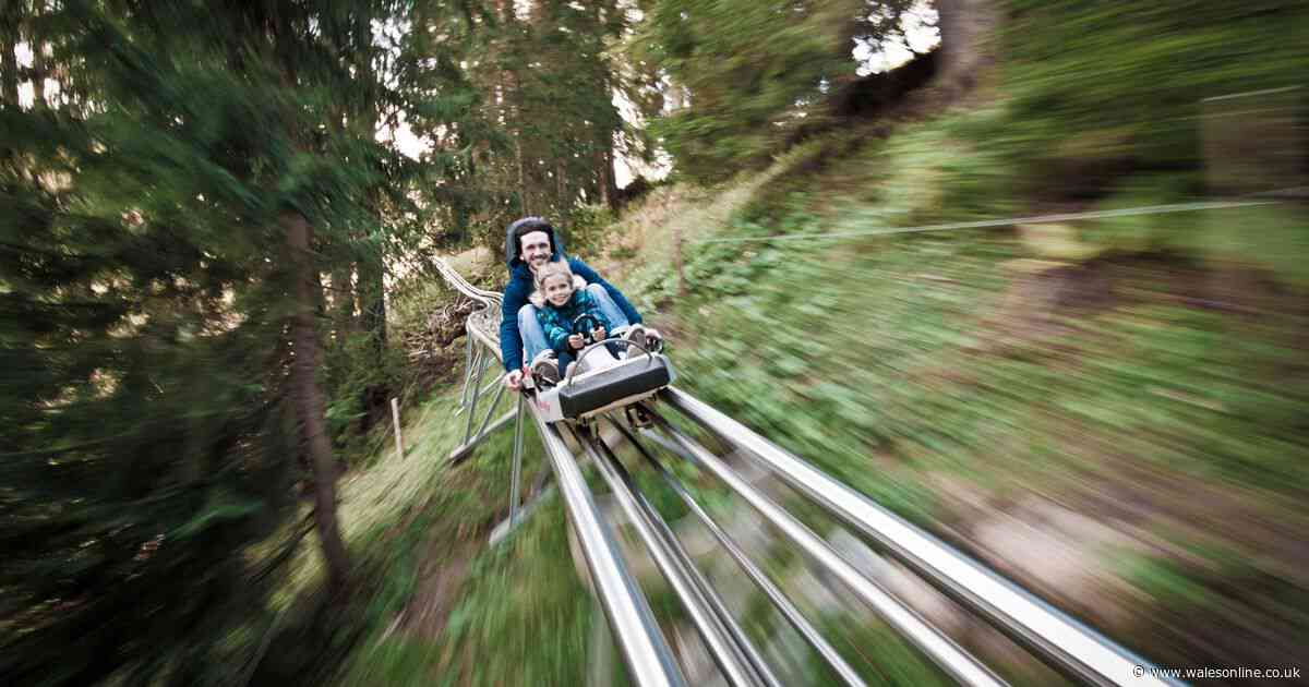 Inside Wales' one-of-a-kind alpine rollercoaster that's a 'must-do' for thrill-seekers