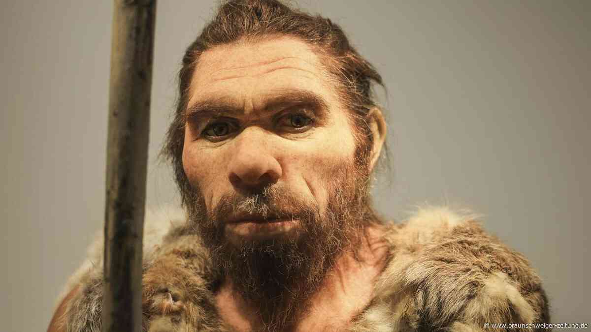 Neandertaler: Flaschenhals-Prinzip besiegelte ihren Untergang