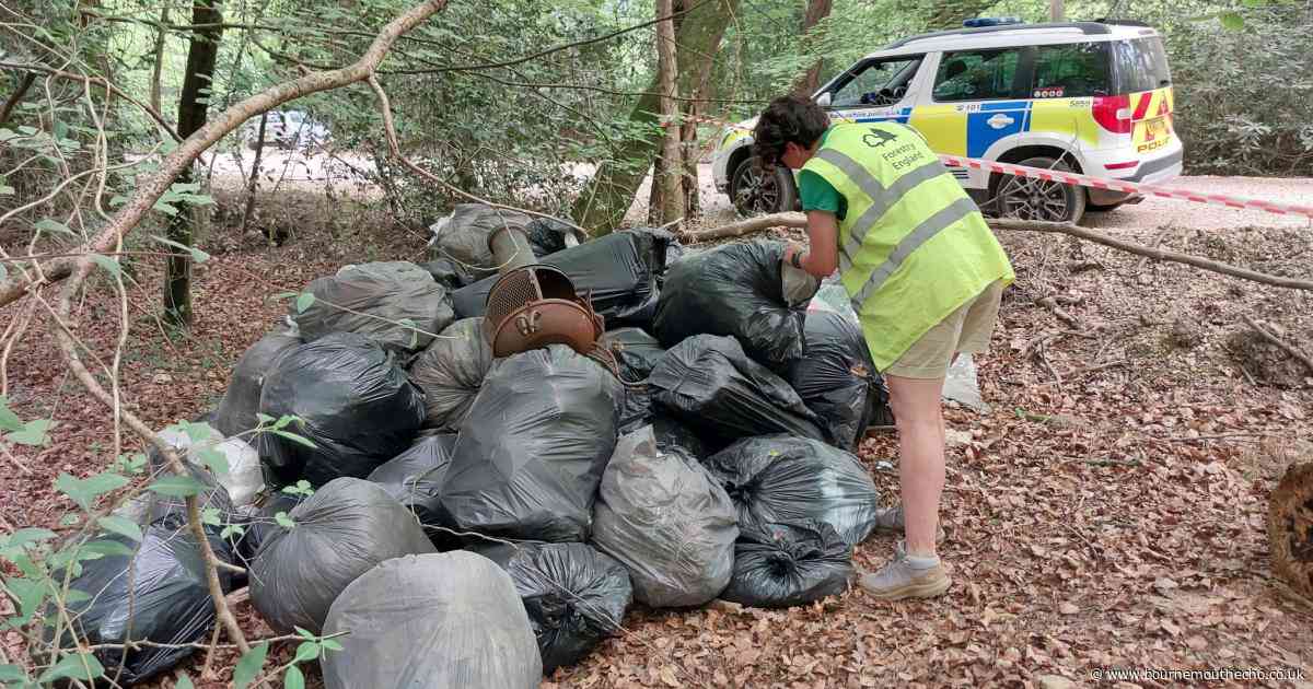 Police crackdown in Forest after rubbish dumped