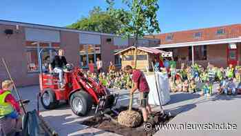 Basisschool Scharrel plant als laureaat van Oxfam-scholenactie boom op speelplaats