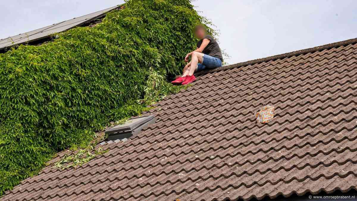 Vrouw helpt buren met snoeien op het dak en durft niet meer naar beneden