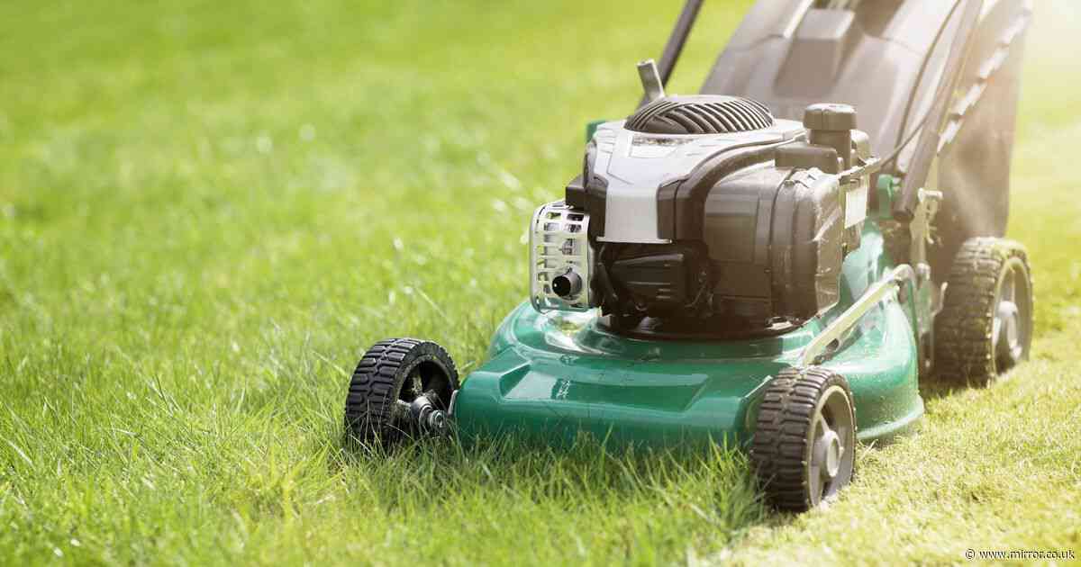 Brits 'shouldn't be cutting their garden grass this week' – according to expert