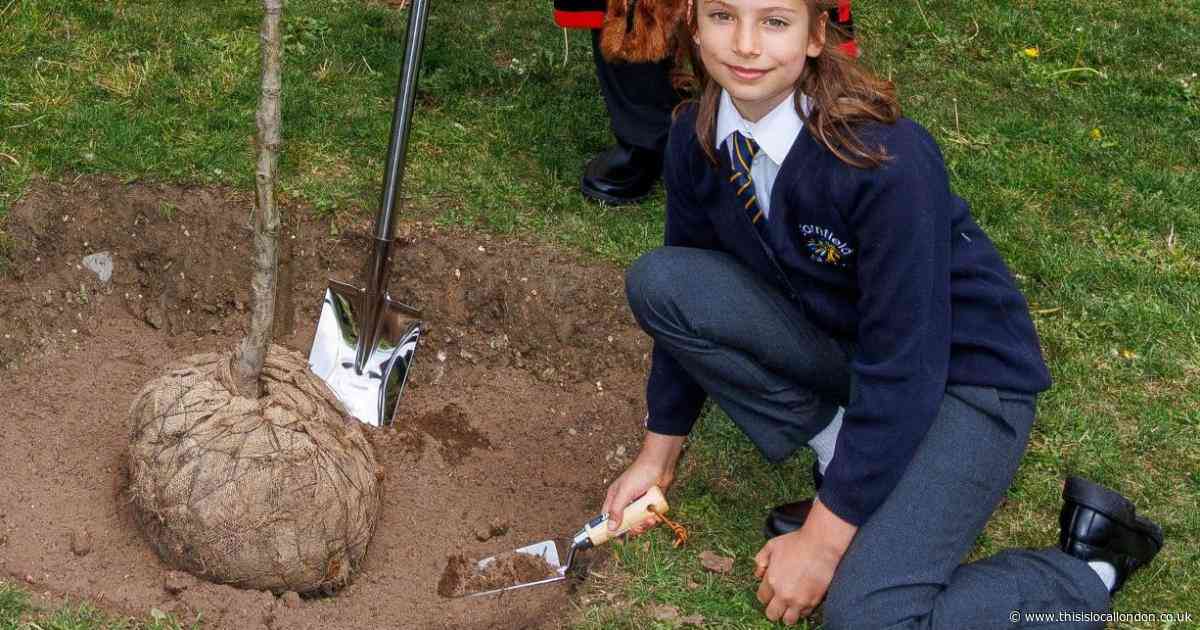 Bomb that killed 85 remembered at VE Day 80th anniversary event