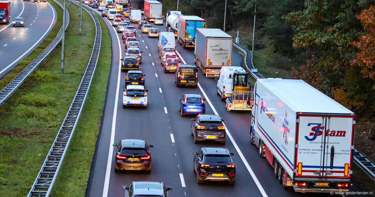 Flinke file op de A50 door kapotte vrachtwagen