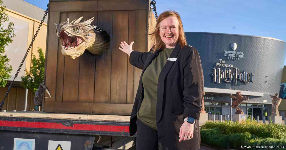 Harry Potter dragon hits London streets to celebrate new feature
