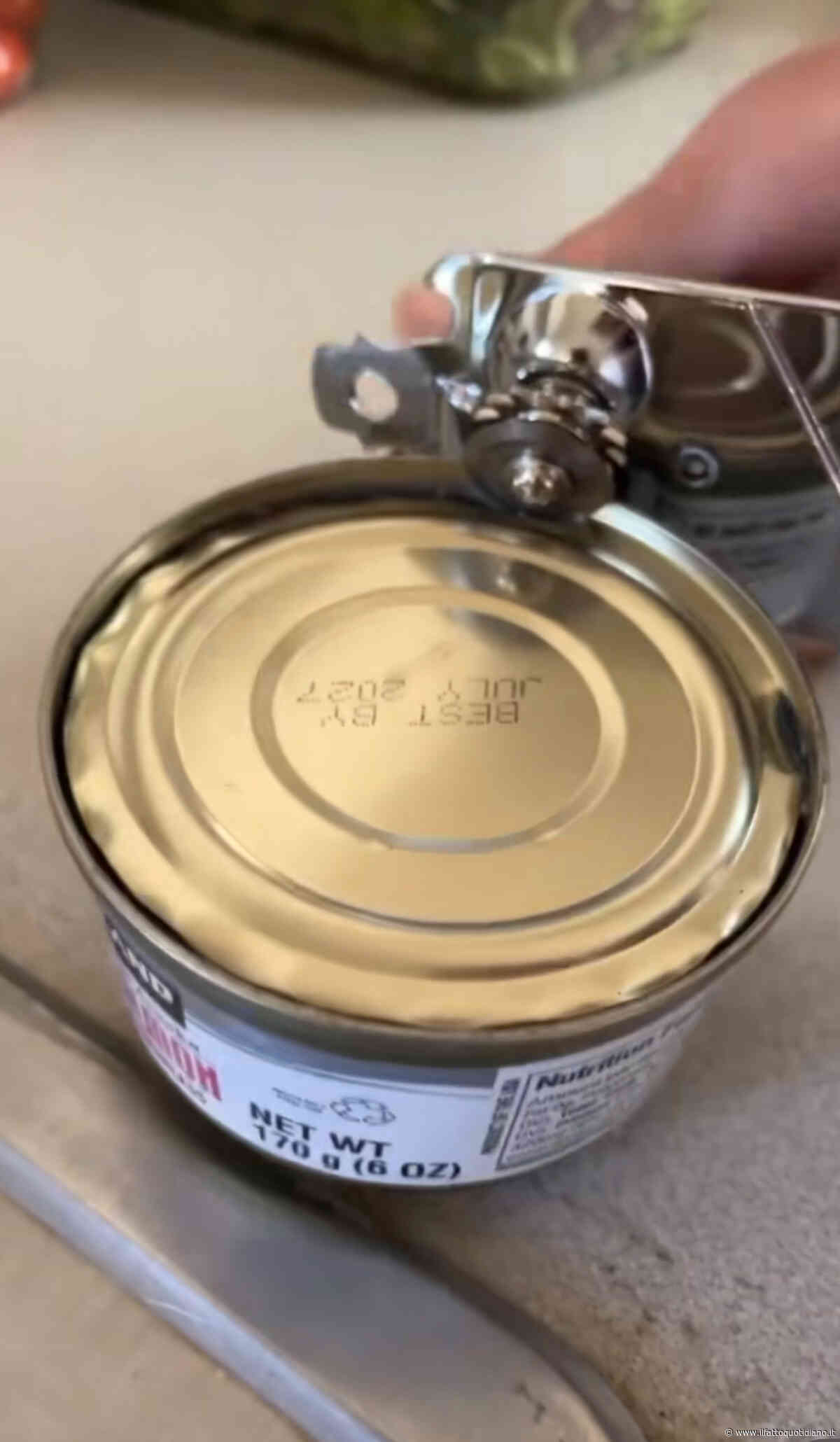 Aperte oltre 170 scatolette di salmone chiuse da 40 anni: la scoperta sorprendente